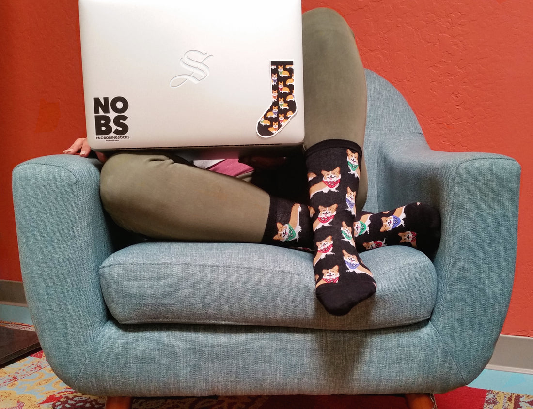 corgi socks