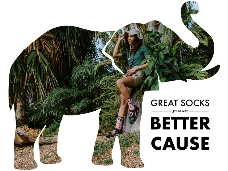 Great socks for an even better cause