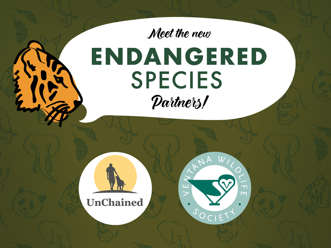 Meet the New Endangered Species Partners