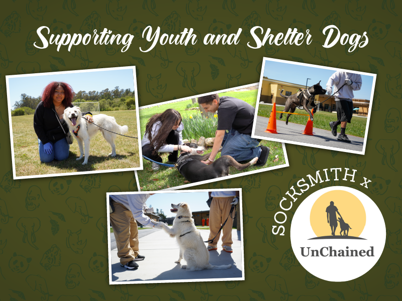 Supporting Youth and Shelter Dogs. Socksmith x UnChained