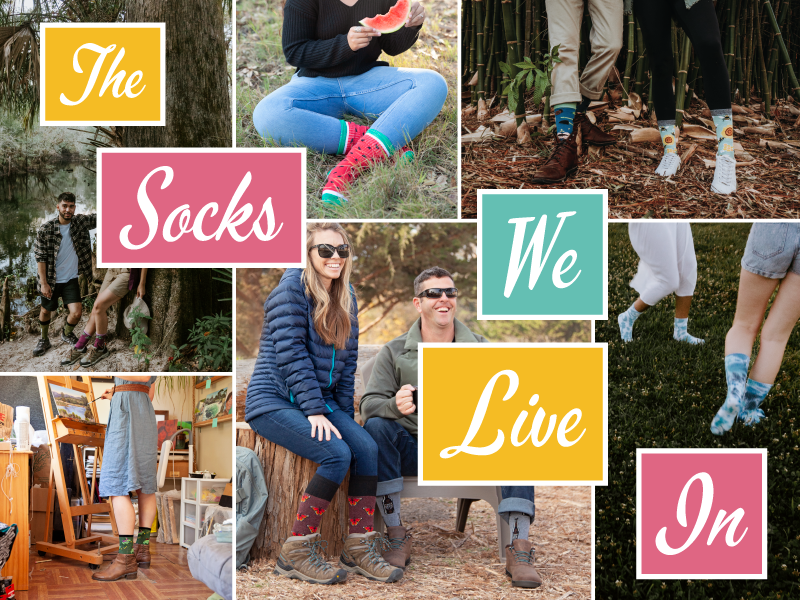 Text of "The Socks We Live In" with a background collage of pictures featuring staff pick socks