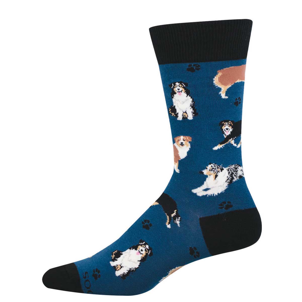 Blue sock featuring Australian Shepherds in various poses 