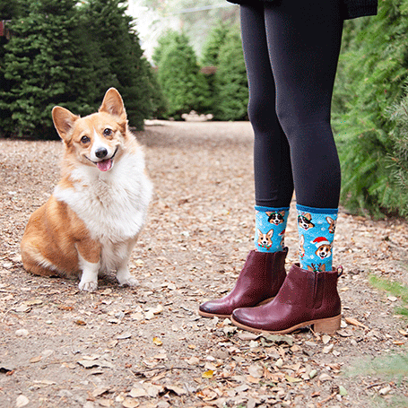 Person wearing blue socks with dog patterns and brown boots standing next to a corgi in a christmas tree lot.