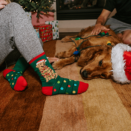 Person wearing festive socks with a dog lying on the floor in a cozy indoor setting.