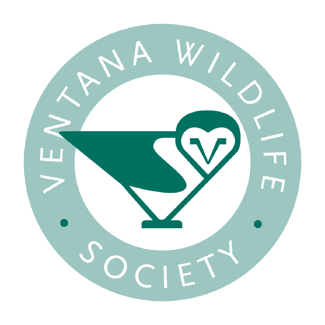 Logo of Ventana Wildlife Society with a green bird and heart design on a light green background